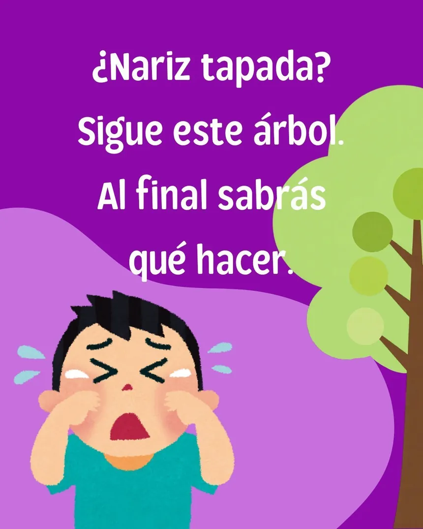 ¿Nariz tapada? Sigue este árbol