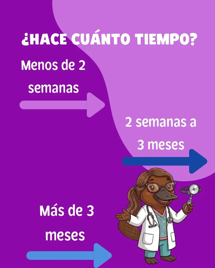 ¿Hace cuánto tiempo? Tres opciones