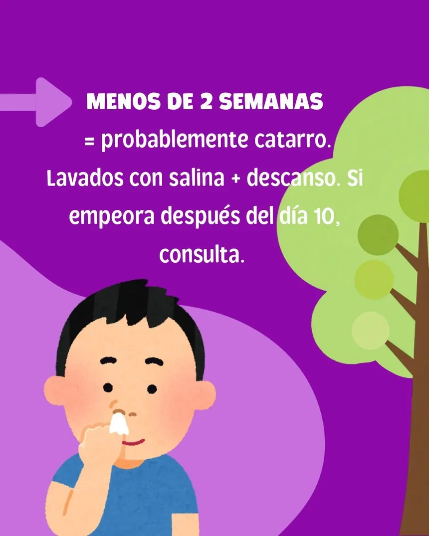 Menos de 2 semanas: probablemente catarro