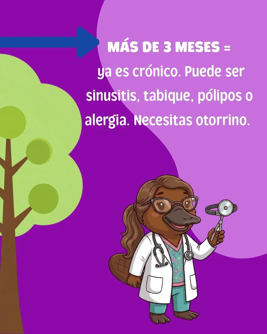 Más de 3 meses: posible sinusitis crónica